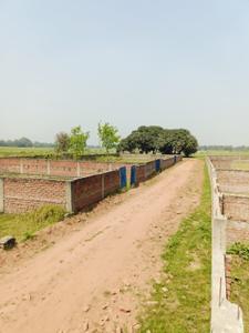 Kashipuram Plot View 2