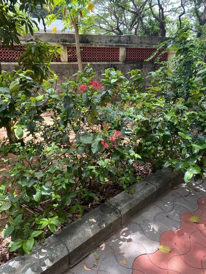 Pushpagiri Balcony 1