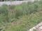 ROF Insignia Park Plots Main Image 1