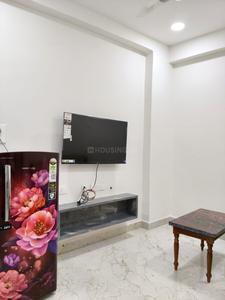 Bedroom Image of 900 Sq.ft 1 BHK Apartment / Flat for rent in Gachibowli Hyderabad for Rs. 28000