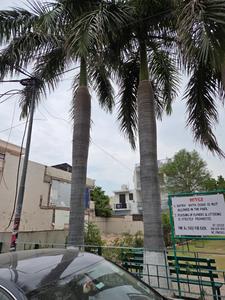 Image of 3444 Sq.ft Residential Plot / Land for sale in Sector 15, Panchkula for Rs. 117500000
