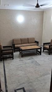 Hall Image of 600 Sq.ft 1 BHK Builder Floor for rent in Karampura New Delhi for Rs. 30000