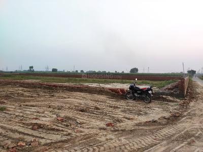 Image of 1000 Sq.ft Residential Plot / Land for sale in Sector 27, Greater Noida for Rs. 65000000