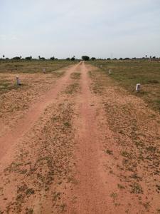 Image of 1000 Sq.ft Residential Plot / Land for sale in Tiruchirappalli City, Tiruchirappalli for Rs. 1000000