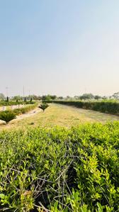 Image of 400 Sq.ft Residential Plot / Land for sale in Altus Space Muirwoods, New Chandigarh, Chandigarh for Rs. 38500000