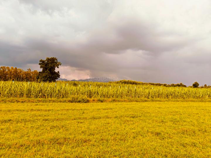 Biharigarh Main Image 1