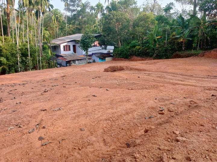 Mulanthuruthy Main Image 1