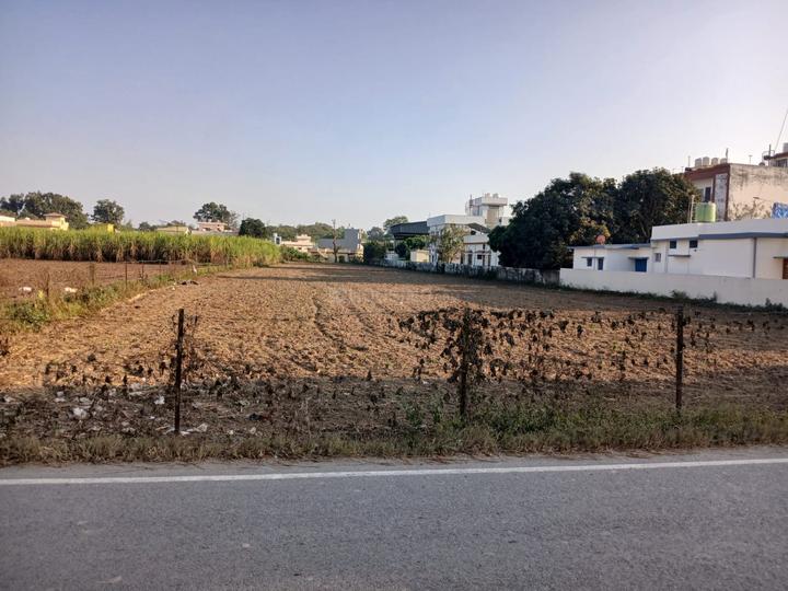 IIP, Mohkampur Main Image 1