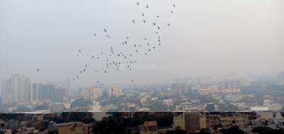 Image of 2439 Sq.ft 4 BHK Apartment / Flat for sale in SDS NRI Residency, Omega II, Greater Noida for Rs. 17800000