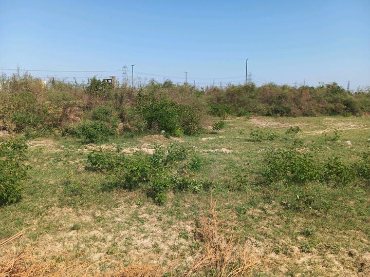 Vatika Express City Plots Main Image 1