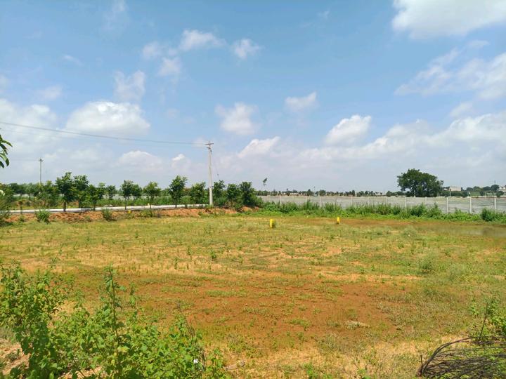 MS Developers Main Image 1