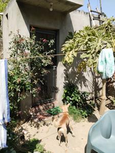 Image of 1750 Sq.ft 2 BHK Independent House for sale in Fazullaganj, Lucknow for Rs. 3500000