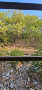 Balcony Image of 2200 Sq.ft 3.5 BHK Independent House for sale in Gururaj Gauri Shankar Residency, Anand Nagar, Sinhagad Road Pune for Rs. 25000000