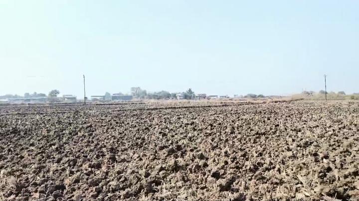 Chincpada Main Image 1