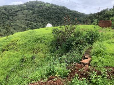 Image of 140125 Sq.ft Residential Plot / Land for sale in Panshet, Pune for Rs. 42000000