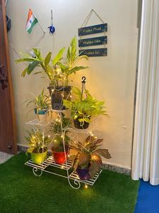 Hall Image of Rao pg  in Sector 14, Gurgaon