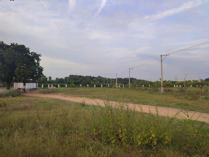 Hampton palms Main Image 1