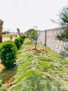 Dhankya Plot View 2