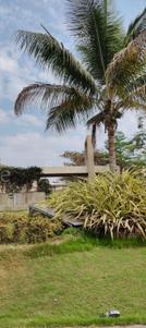 Image of 1200 Sq.ft 2 BHK Apartment / Flat for sale in Mahindra Bloomdale Apartment, Mihan, Nagpur for Rs. 3400000