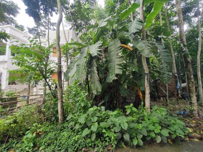 Image of 4320 Sq.ft Residential Plot / Land for sale in Kalyani, Nadia for Rs. 2000000