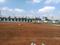 Thimmapur Plot View 2