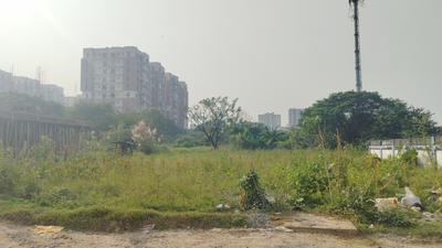 Action Area 2 Plot View 2