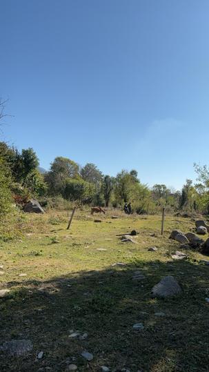 Dharamsala Main Image 1