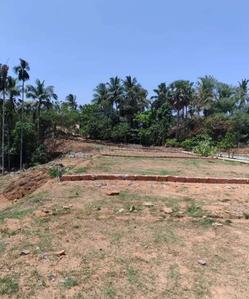 Shiva Enclave Plot View 2