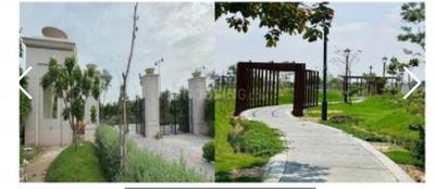 Residential Plot