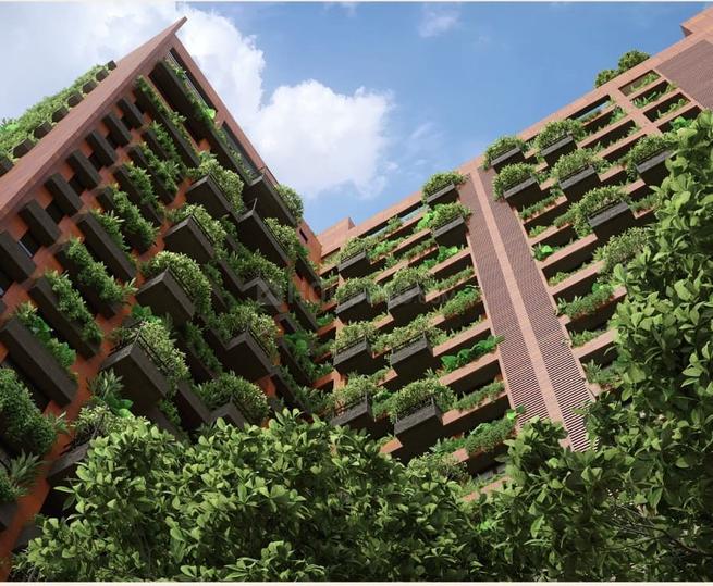 Ikebana Main Image 1