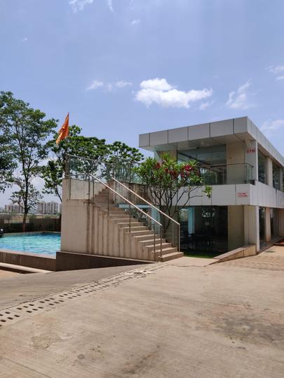 Enerrgia Skyi Iris Main Image 1