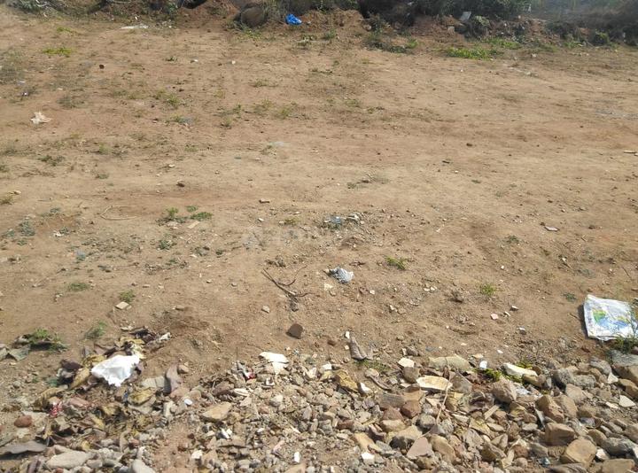 royal rajputana co Main Image 1