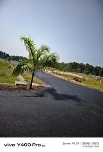 SBD Beach Front Plot View 3