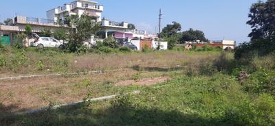 Sailok Plot View 2