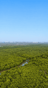 Image of 1089 Sq.ft Residential Plot / Land for sale in Dhasakhosi, Raigad for Rs. 550000