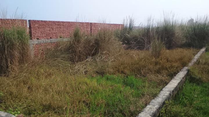 Sarai Gulharia Main Image 1