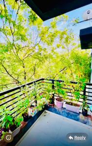 Balcony Image of 895 Sq.ft 2 BHK Apartment / Flat for rent in Memnagar Ahmedabad for Rs. 35000
