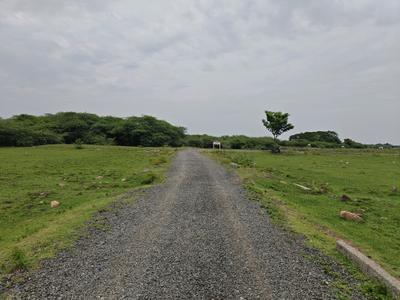 Image of 690 Sq.ft Residential Plot / Land for sale in Paranur, Chennai for Rs. 1034312