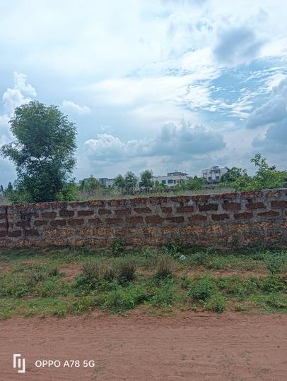 Kamala Nagar Main Image 1