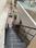 Mansarovar Extension Balcony 1