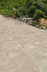 Image of 1350 Sq.ft Residential Plot / Land for sale in Geetanjali Enclave, Mothrowala, Dehradun for Rs. 10500000