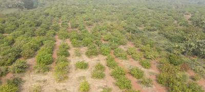 Image of 120 Sq.ft Residential Plot / Land for sale in Narayankhed, Sangareddy for Rs. 450000