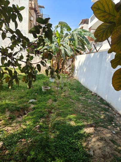 Sector 2, Palam Vihar Main Image 1