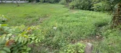 Image of 10000 Sq.ft Residential Plot / Land for sale in Eroor, Kochi for Rs. 595000