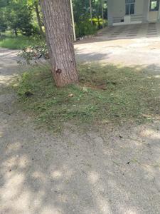 Image of 540 Sq.ft Residential Plot / Land for sale in Jagatpura, Jaipur for Rs. 5500000