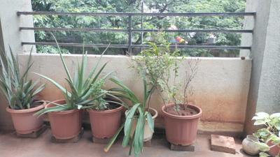 Balcony Image of 1056 Sq.ft 2 BHK Apartment / Flat for rent in Vastushree Adrina, Mundhwa Pune for Rs. 26000