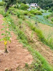 Better Homes Realty Plot View 2