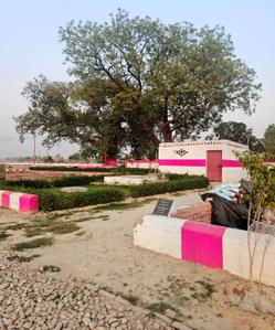 Paras 2 Plot View 4