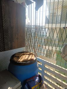 Balcony Image of 380 Sq.ft 1 BHK Apartment / Flat for sale in Malad West Mumbai for Rs. 7500000