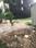 Golden Park Main Image 1